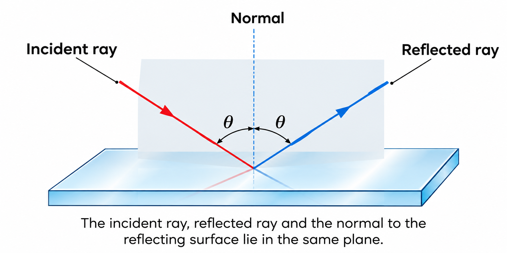 Figure 9.1: The incident ray, reflected ray and the normal to the reflecting surface lie in the same plane.